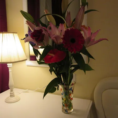 Trevi Elegance Πανσιόν 4*