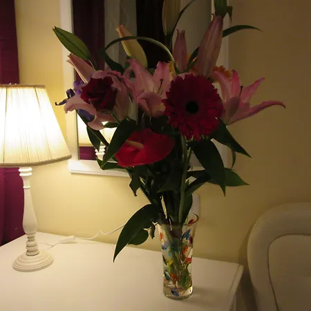 Guest house Trevi Elegance Rome