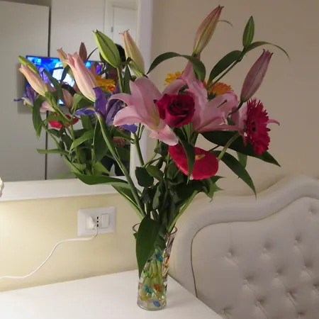 Trevi Elegance Guest house